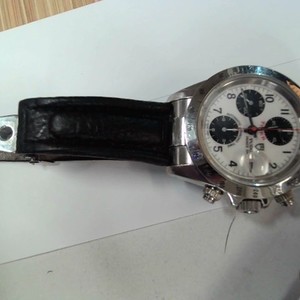 Tudor Prince Date Tiger