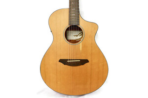 BREEDLOVE - Passport C250/CMe Acoustic / Electric Guitar w/Gig Bag