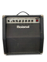 Roland Electric Guitar Amp