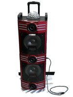 TOPTECH Portable 6000 Watts Peak Power 2x10 Speaker -BULL210